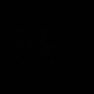 Meet your Posher, Dalia